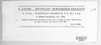 Phaeodomus erumpens image